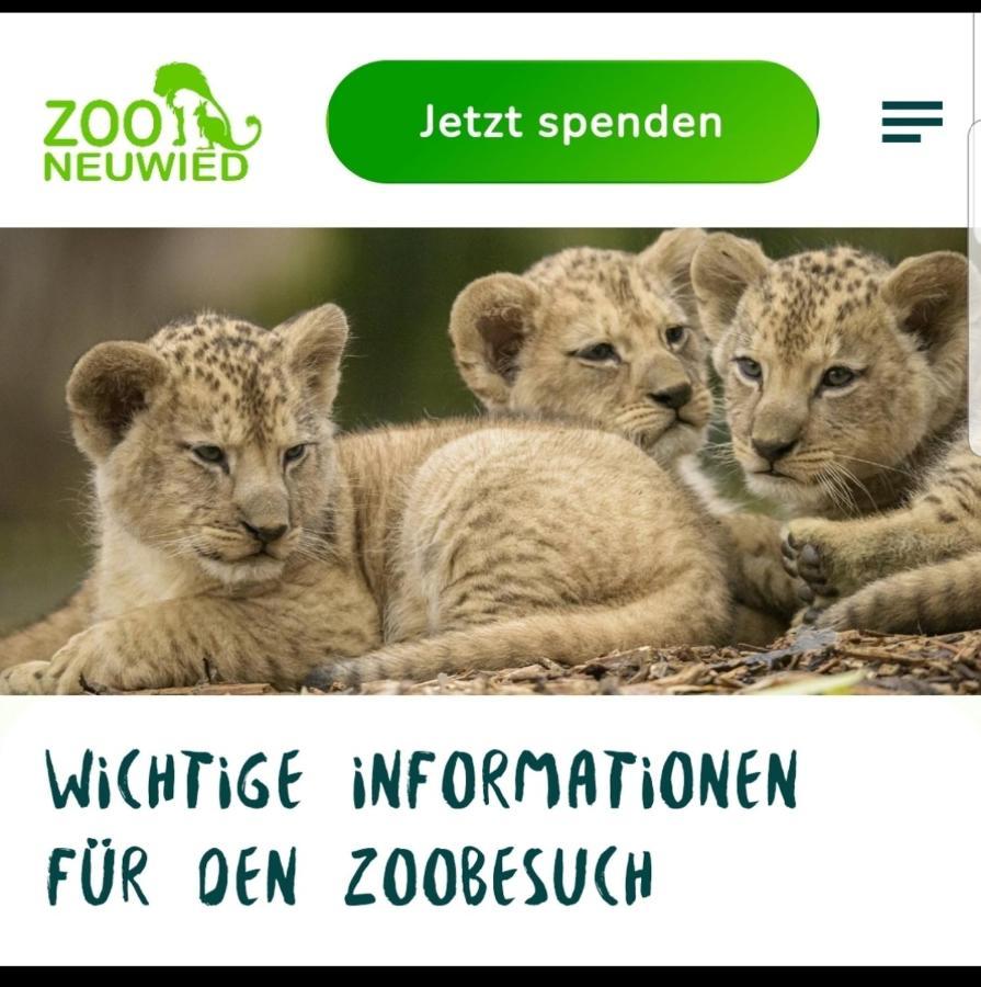 Fewo Mit Terasse Neuwied & Koblenz מראה חיצוני תמונה
